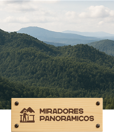 Yazahua | Terrenos en Venta en Chiquilistlán – Naturaleza, Vistas y Libertad