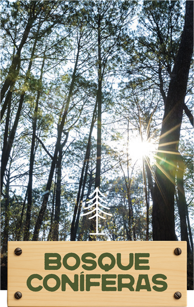 Yazahua | Terrenos en Venta en Chiquilistlán – Naturaleza, Vistas y Libertad