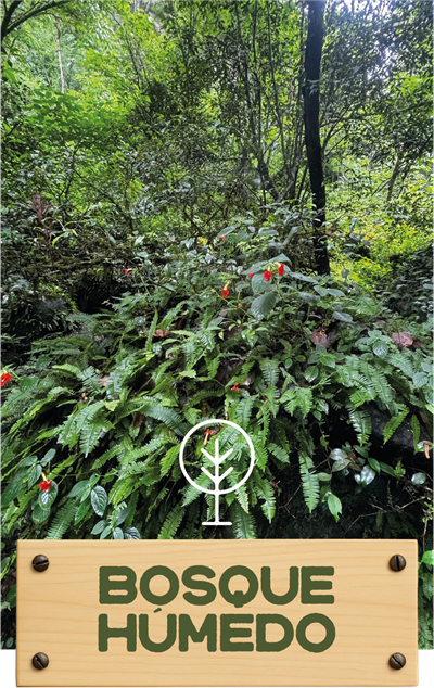 Yazahua | Terrenos en Venta en Chiquilistlán – Naturaleza, Vistas y Libertad